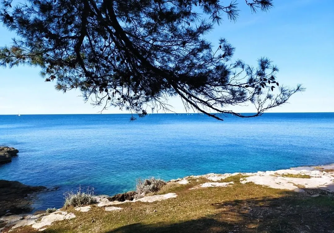 Sunset Bay Apartment Pula Croatia